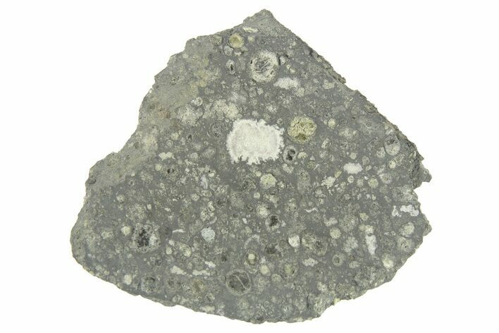 Allende Chondrite Meteorite ( g) Slice - Mexico #265988